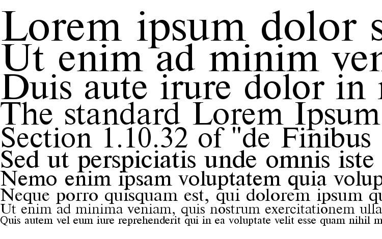 specimens Times font, sample Times font, an example of writing Times font, review Times font, preview Times font, Times font