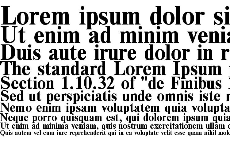 specimens TimesDL Bold font, sample TimesDL Bold font, an example of writing TimesDL Bold font, review TimesDL Bold font, preview TimesDL Bold font, TimesDL Bold font