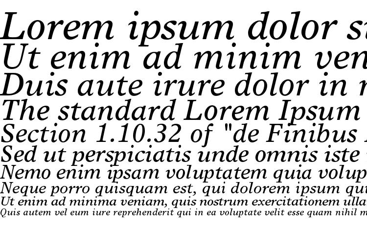 specimens TimesEuropaLTStd Italic font, sample TimesEuropaLTStd Italic font, an example of writing TimesEuropaLTStd Italic font, review TimesEuropaLTStd Italic font, preview TimesEuropaLTStd Italic font, TimesEuropaLTStd Italic font