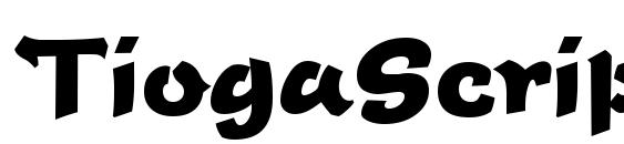 TiogaScript Bold Regular Font