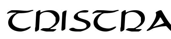 шрифт Tristram Expanded, бесплатный шрифт Tristram Expanded, предварительный просмотр шрифта Tristram Expanded