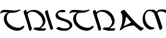 Шрифт Tristram Leftalic
