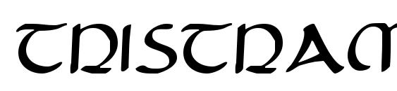 шрифт Tristram, бесплатный шрифт Tristram, предварительный просмотр шрифта Tristram