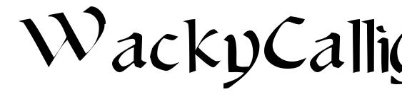 WackyCalligraphic font, free WackyCalligraphic font, preview WackyCalligraphic font