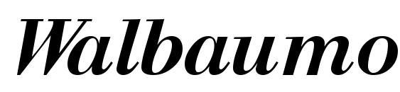 Walbaumosssk bolditalic font, free Walbaumosssk bolditalic font, preview Walbaumosssk bolditalic font