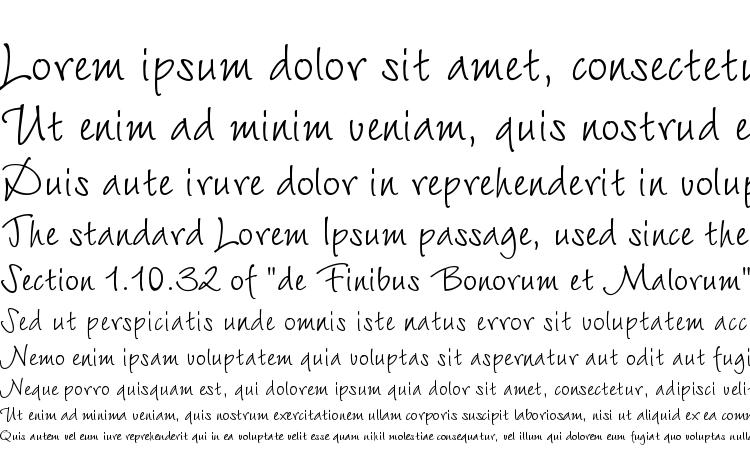 specimens Wiesbadenswingc font, sample Wiesbadenswingc font, an example of writing Wiesbadenswingc font, review Wiesbadenswingc font, preview Wiesbadenswingc font, Wiesbadenswingc font