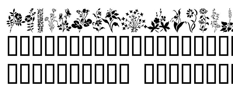 glyphs Wildflowers1 font, сharacters Wildflowers1 font, symbols Wildflowers1 font, character map Wildflowers1 font, preview Wildflowers1 font, abc Wildflowers1 font, Wildflowers1 font