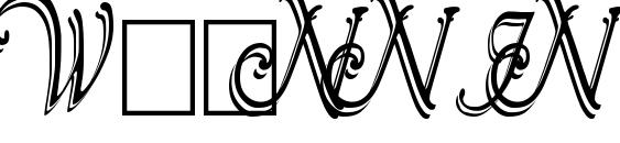 Wrenn Initials Shadowed Cond Font