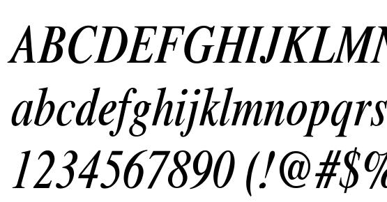 Xerox Serif Narrow Italic Font Download Free   Legionfonts