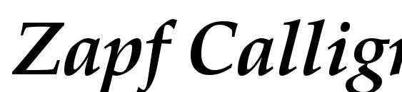 Zapf Calligraphic 801 Bold Italic BT Font