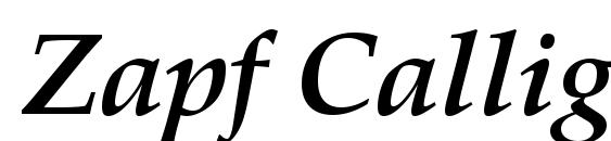 Zapf Calligraphic 801 Bold Italic SWA Font
