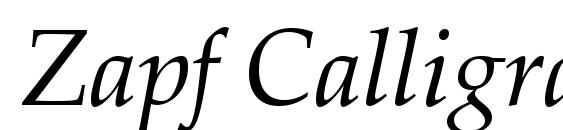Zapf Calligraphic 801 Italic BT Font