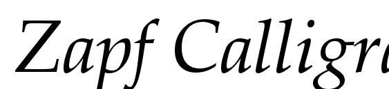 Zapf Calligraphic 801 Italic SWA Font