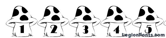 101! In the ShroomZ Font, Number Fonts