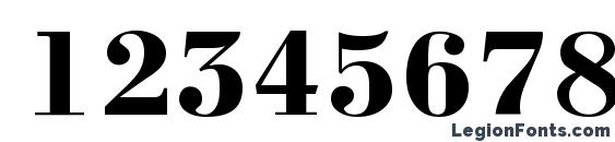 a BodoniNova Bold Font, Number Fonts