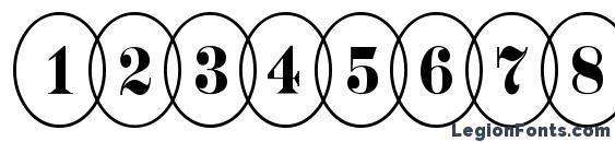 a DiscoSerifNrOvl Font, Number Fonts