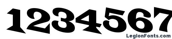 a LatinoTitulSpDn Font, Number Fonts