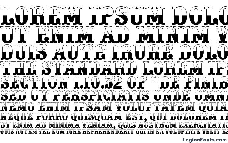 specimens a PresentumB&W font, sample a PresentumB&W font, an example of writing a PresentumB&W font, review a PresentumB&W font, preview a PresentumB&W font, a PresentumB&W font