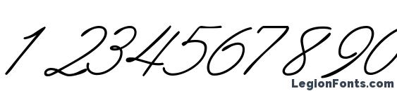 Abrazoscriptssk italic Font, Number Fonts