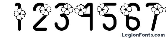 Ac3 wildflower Font, Number Fonts