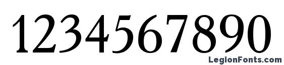 Academia Roman Font, Number Fonts