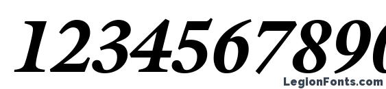 Acanthus Black SSi Black Italic Font, Number Fonts