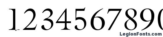 Acanthus Light SSi Light Font, Number Fonts