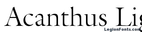 шрифт Acanthus Light SSi Light, бесплатный шрифт Acanthus Light SSi Light, предварительный просмотр шрифта Acanthus Light SSi Light