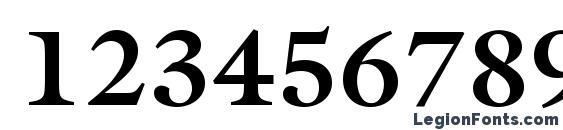 Acanthus SSi Bold Font, Number Fonts