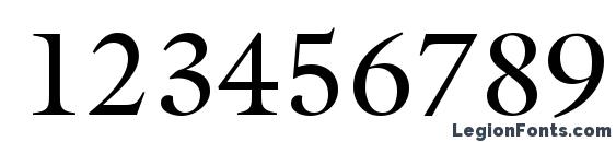 Acanthus SSi Font, Number Fonts