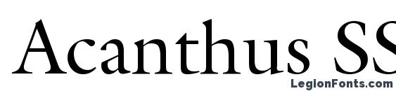 Шрифт Acanthus SSi, Типографические шрифты