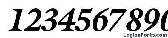 AcanthusBlackSSK Italic Font, Number Fonts