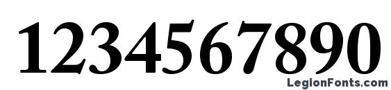 ACaslonPro Bold Font, Number Fonts