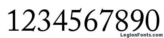 ACaslonPro Regular Font, Number Fonts