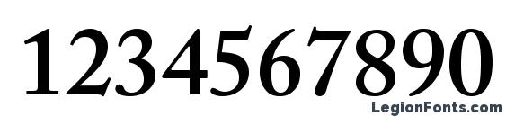 ACaslonPro Semibold Font, Number Fonts