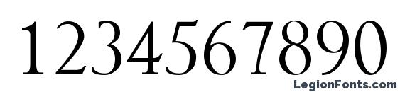 Adios Script Alt IV and Orns Font, Number Fonts