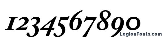 Adobe Caslon Bold Italic Expert Font, Number Fonts