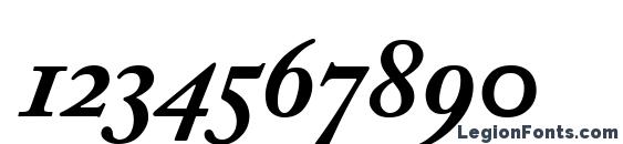 Adobe Caslon Bold Italic Font, Number Fonts