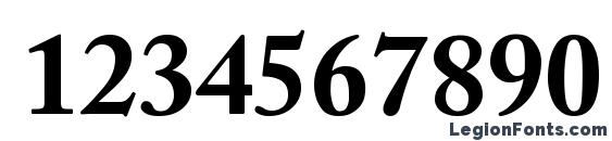 Adobe Caslon Bold Font, Number Fonts