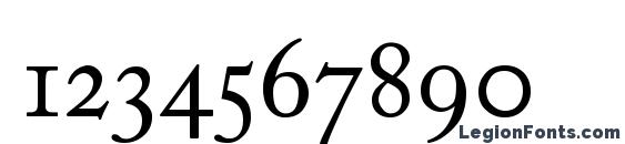 Adobe Caslon Regular Expert Font, Number Fonts