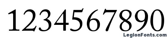 Adobe Caslon Regular Font, Number Fonts