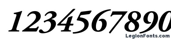 Adobe Garamond LT Bold Italic Font, Number Fonts