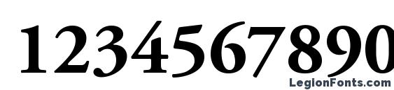 Adobe Garamond LT Bold Font, Number Fonts