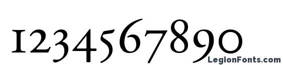 Adobe Garamond Regular Expert Font, Number Fonts