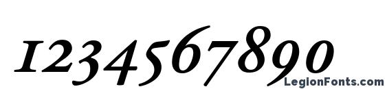 Adobe Garamond Semibold Italic Expert Font, Number Fonts