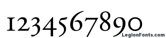 Adobe Garamond Small Caps & Oldstyle Figures Font, Number Fonts