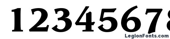 Advisor SSi Bold Font, Number Fonts