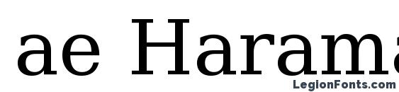 ae Haramain Font