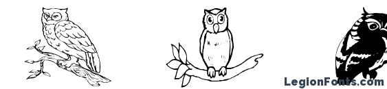 Aez owls for traci Font