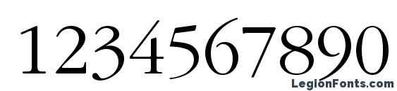 AG Garamond Font, Number Fonts